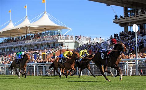 Goodwood Horse Racing Results .